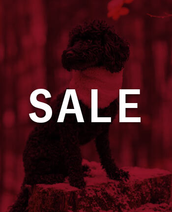 Hundezubeh�r & -accessoires