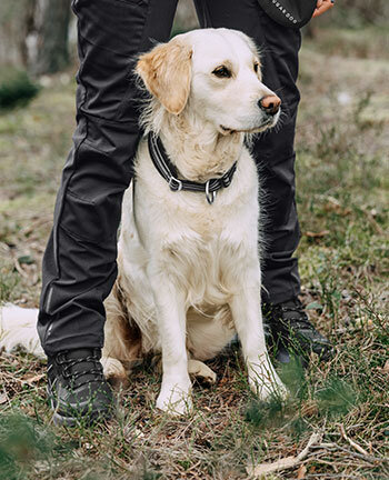 Hosen f�r Hundehalter