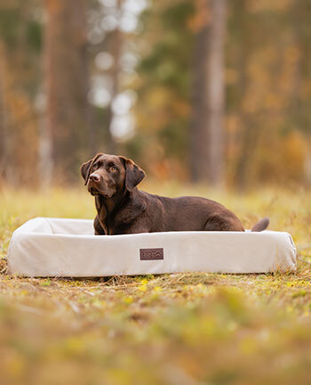 Hundebetten, -kissen & -transport