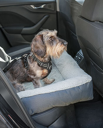Hundetransport