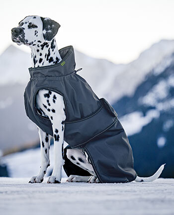 Hundejacken und -m�ntel
