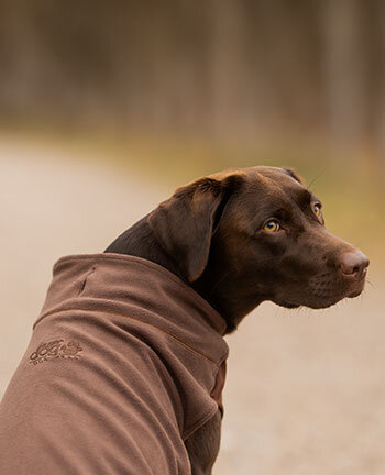 Hundebadem�ntel & Hundepullover
