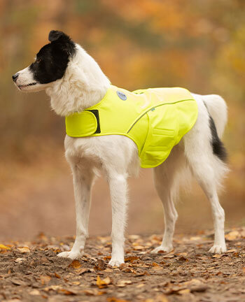Reflexartikel f�r Hunde