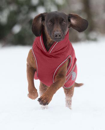 Hundejacken & -m�ntel