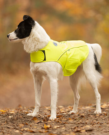 Reflexartikel f�r Hunde