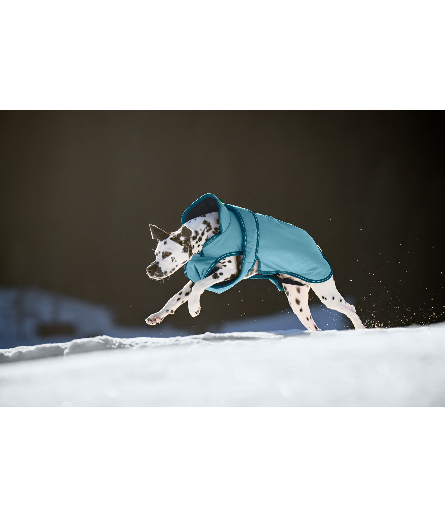 Hunde Wintermantel Eddie mit Fleeceinnenfutter, 200 g