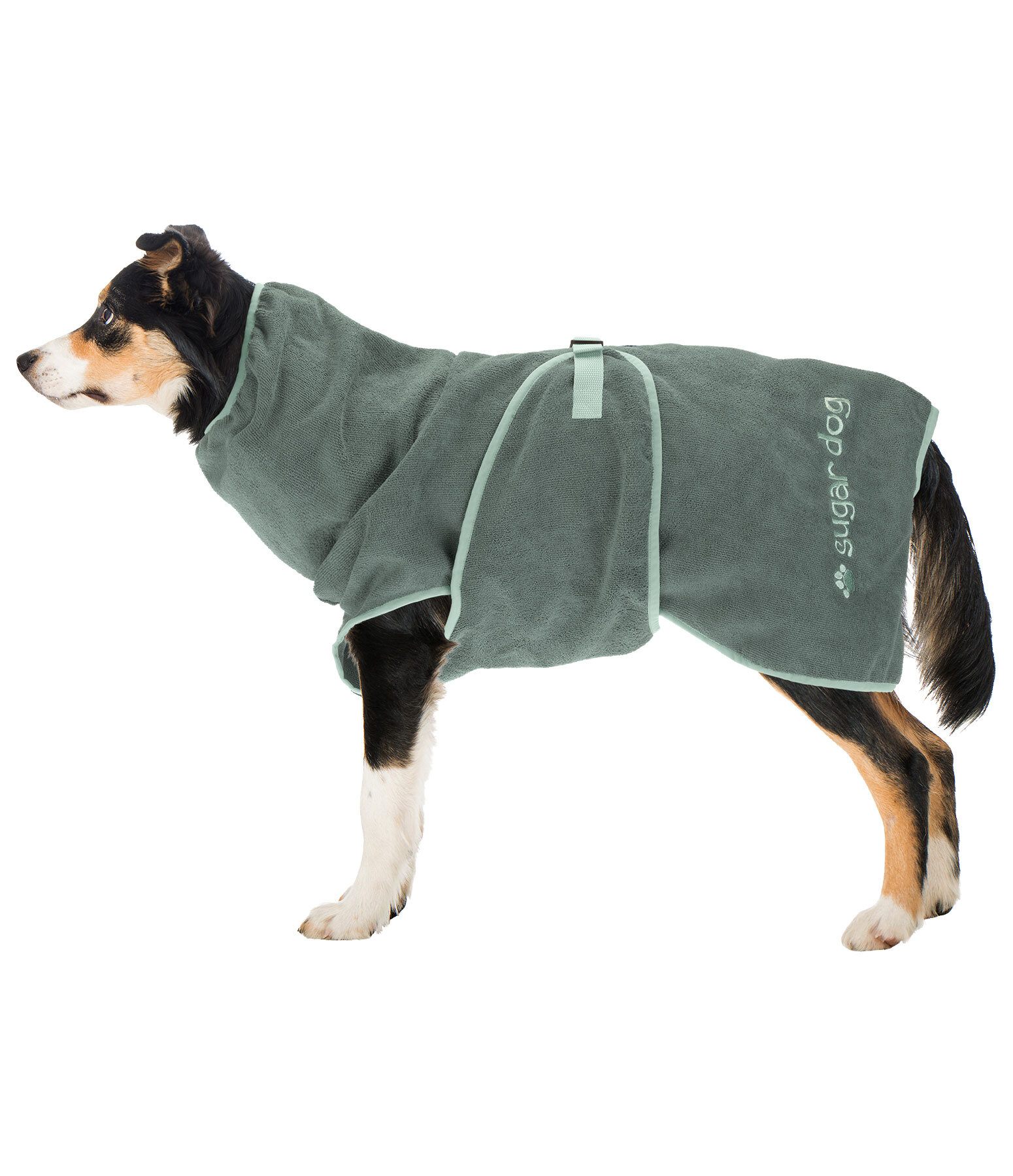 Hunde-Trocknungscape Dry Dog II