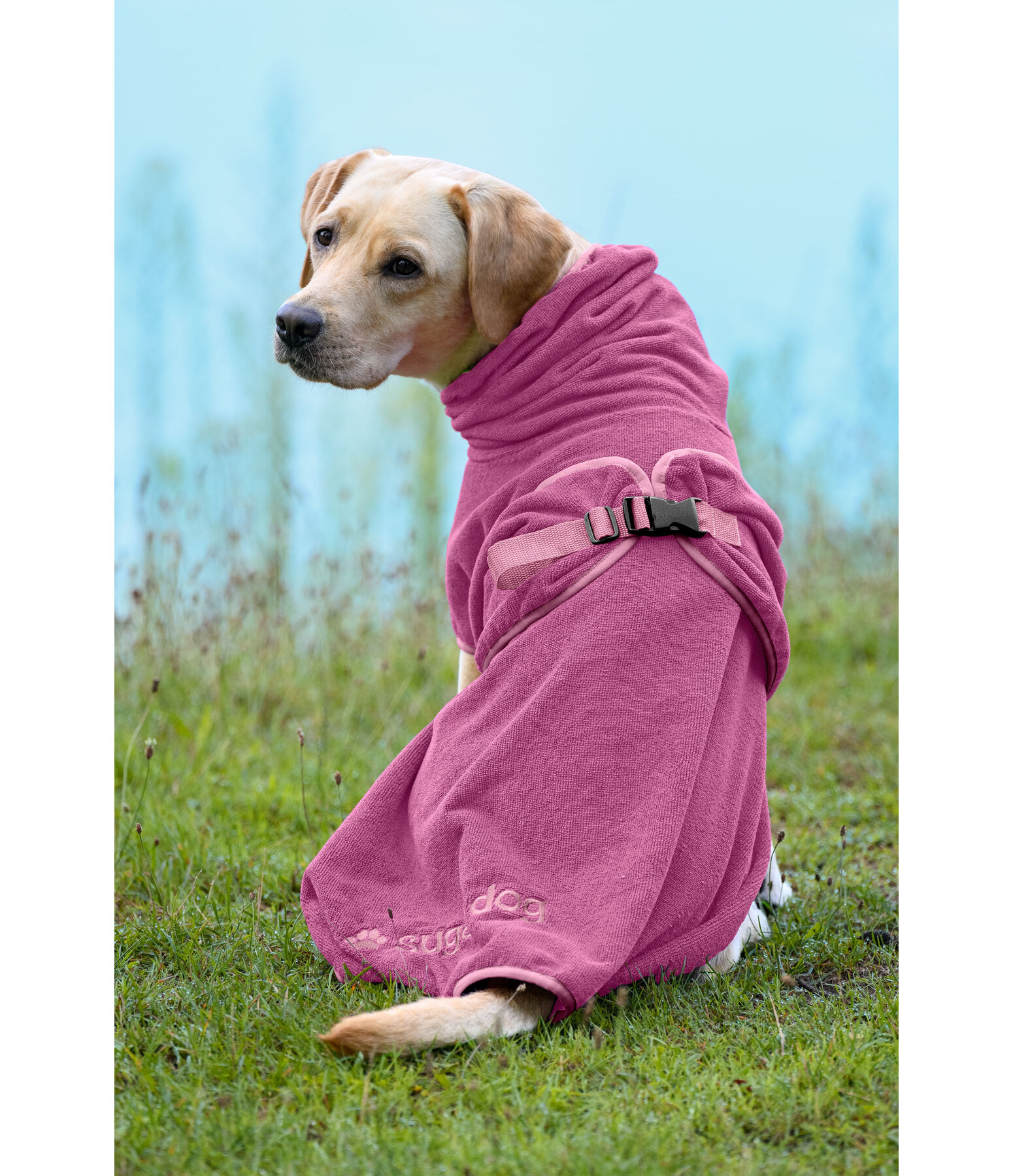 Hunde-Trocknungscape Dry Dog II
