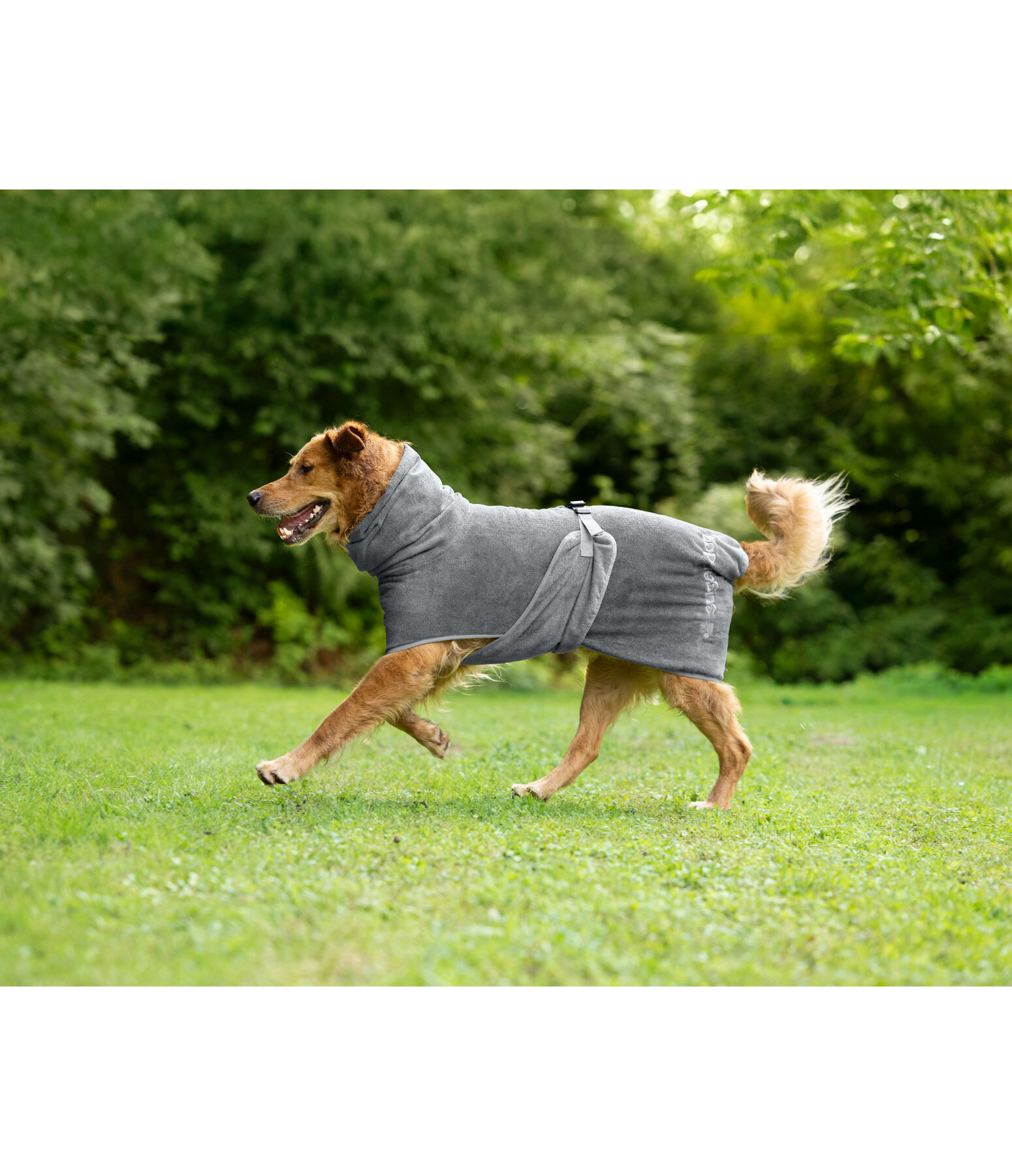 Hunde-Trocknungscape Dry Dog II