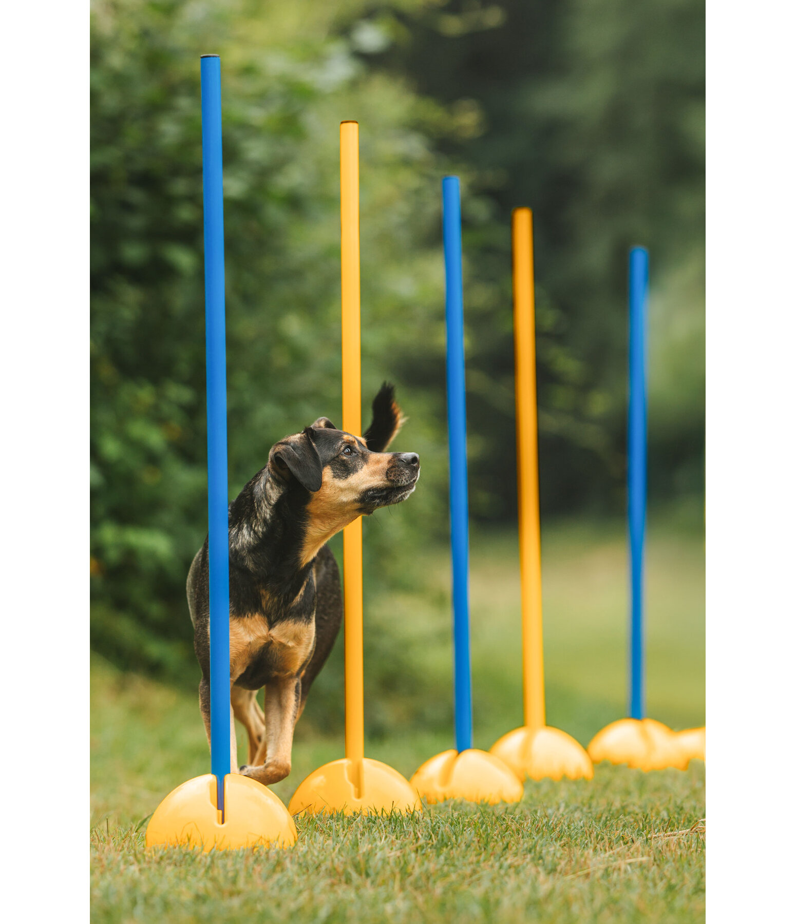 Agility St�nder