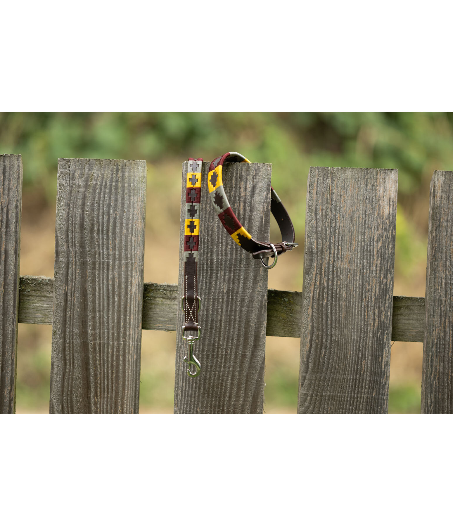 Set: Leder-Hundehalsband und -leine Polo Sports