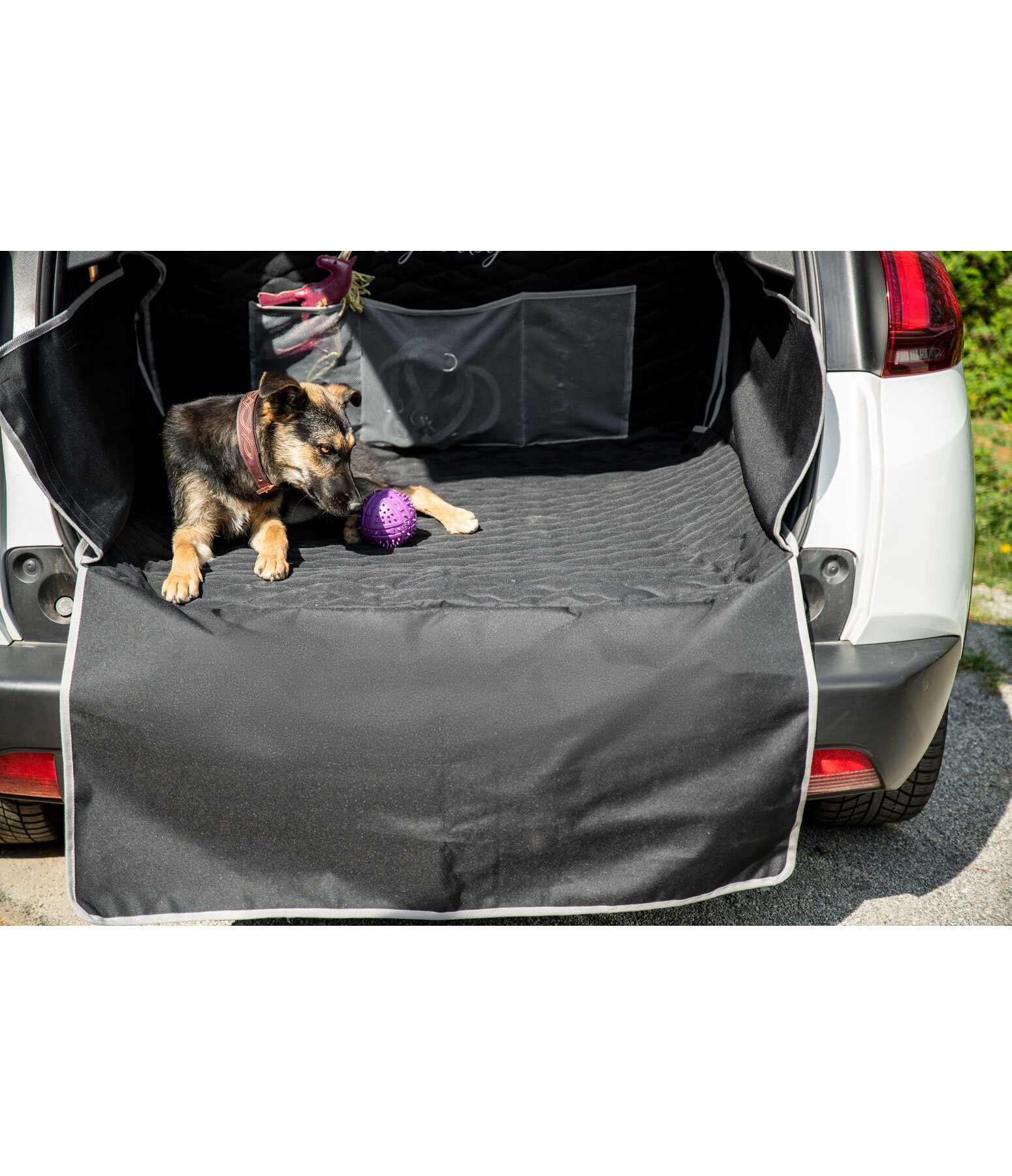 Universal-Kofferraumschoner f�r Hunde