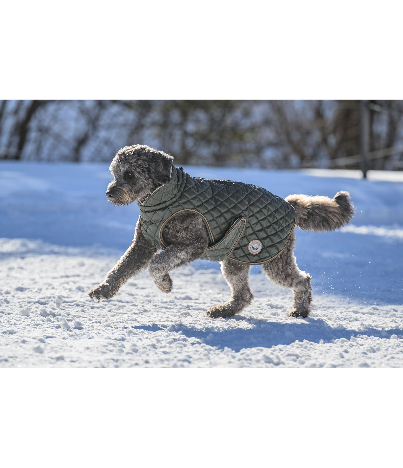 Hundemantel Archie mit Teddyfleece-Innenfutter, 160 g