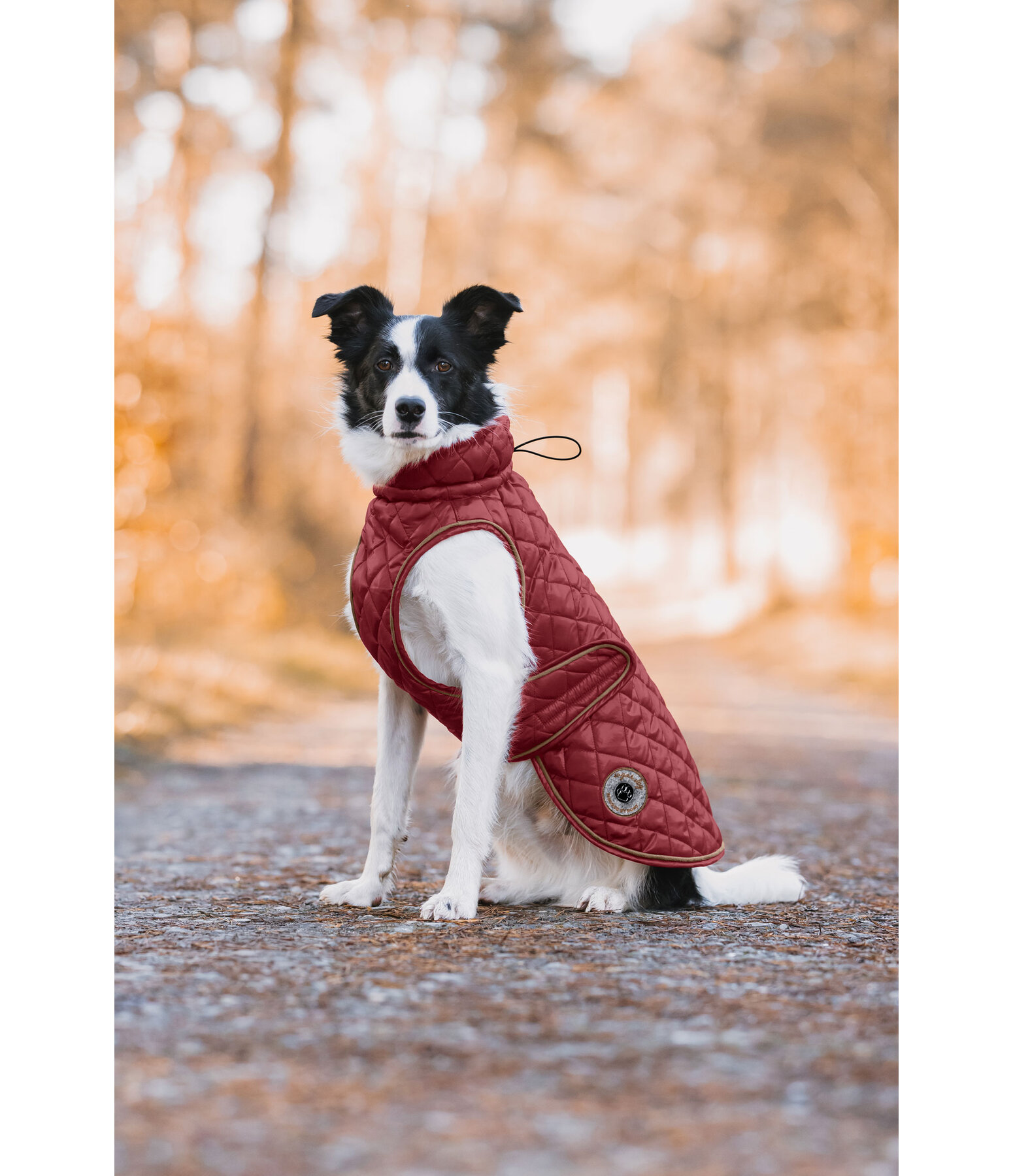 Hundemantel Archie mit Teddyfleece-Innenfutter, 160 g