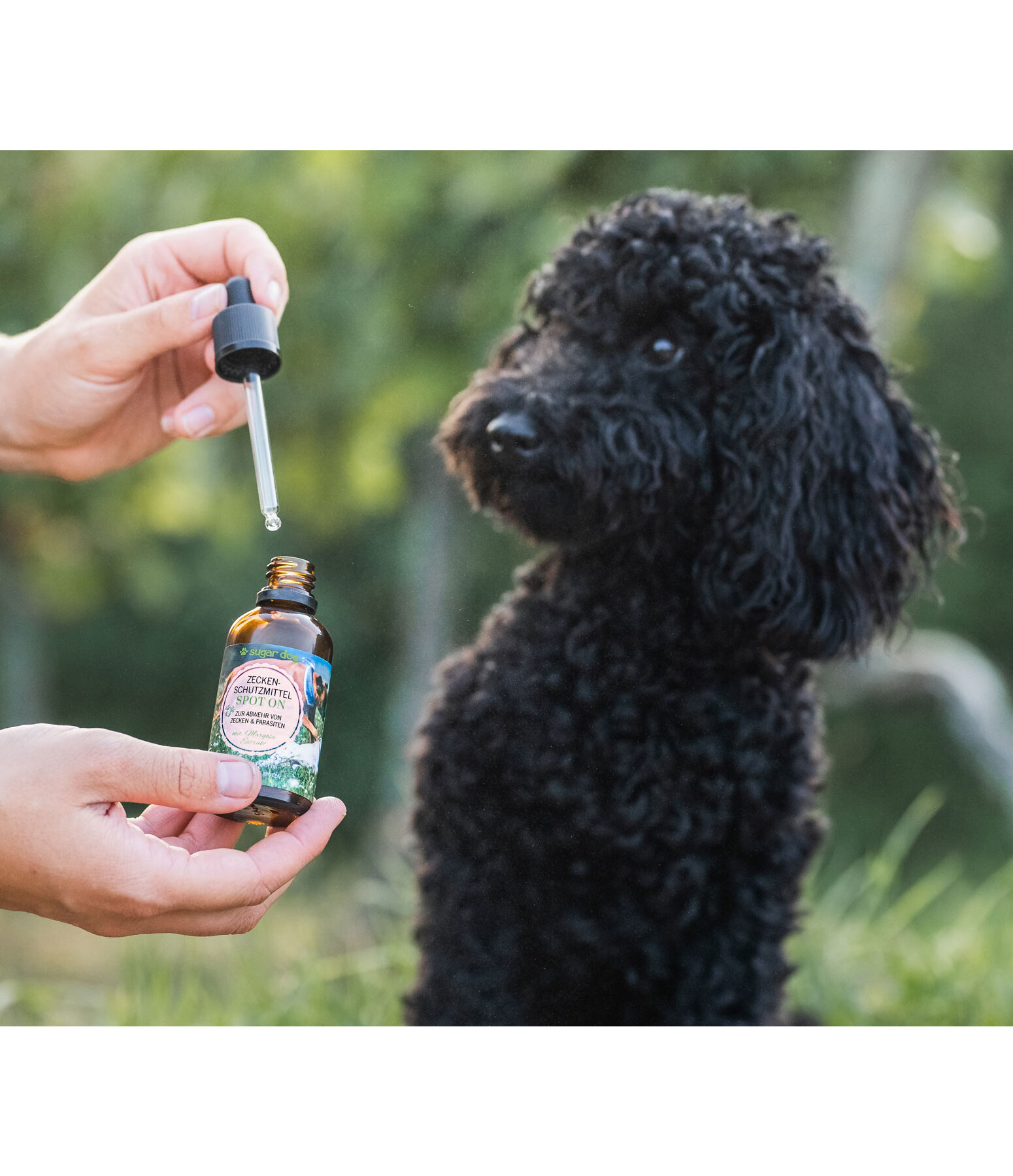 Spot-On Zeckenschutzmittel f�r Hunde