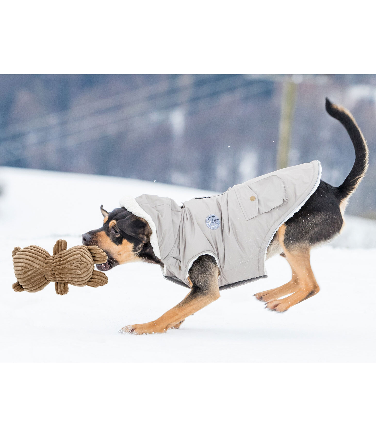 Hundespielzeug Kuschel-B�r Bruno