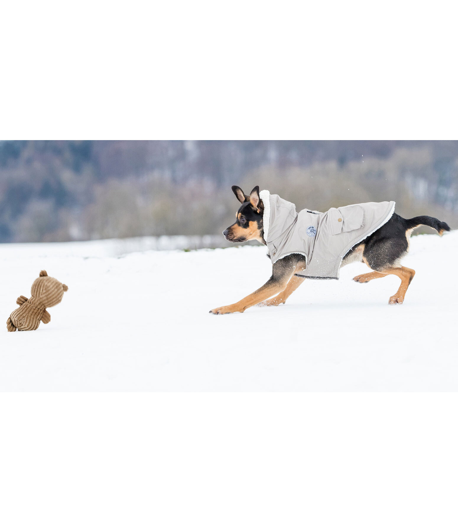 Hundespielzeug Kuschel-B�r Bruno