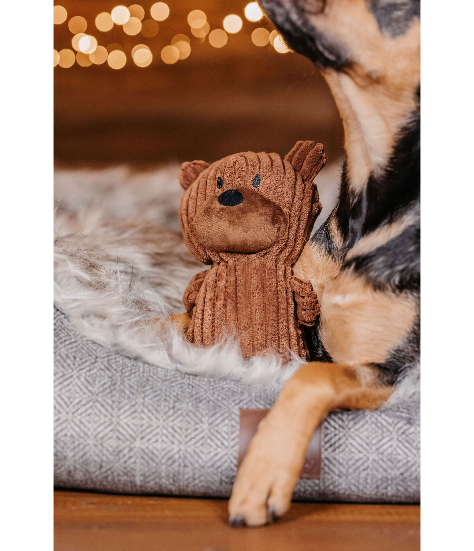 Hundespielzeug Kuschel-B�r Bruno