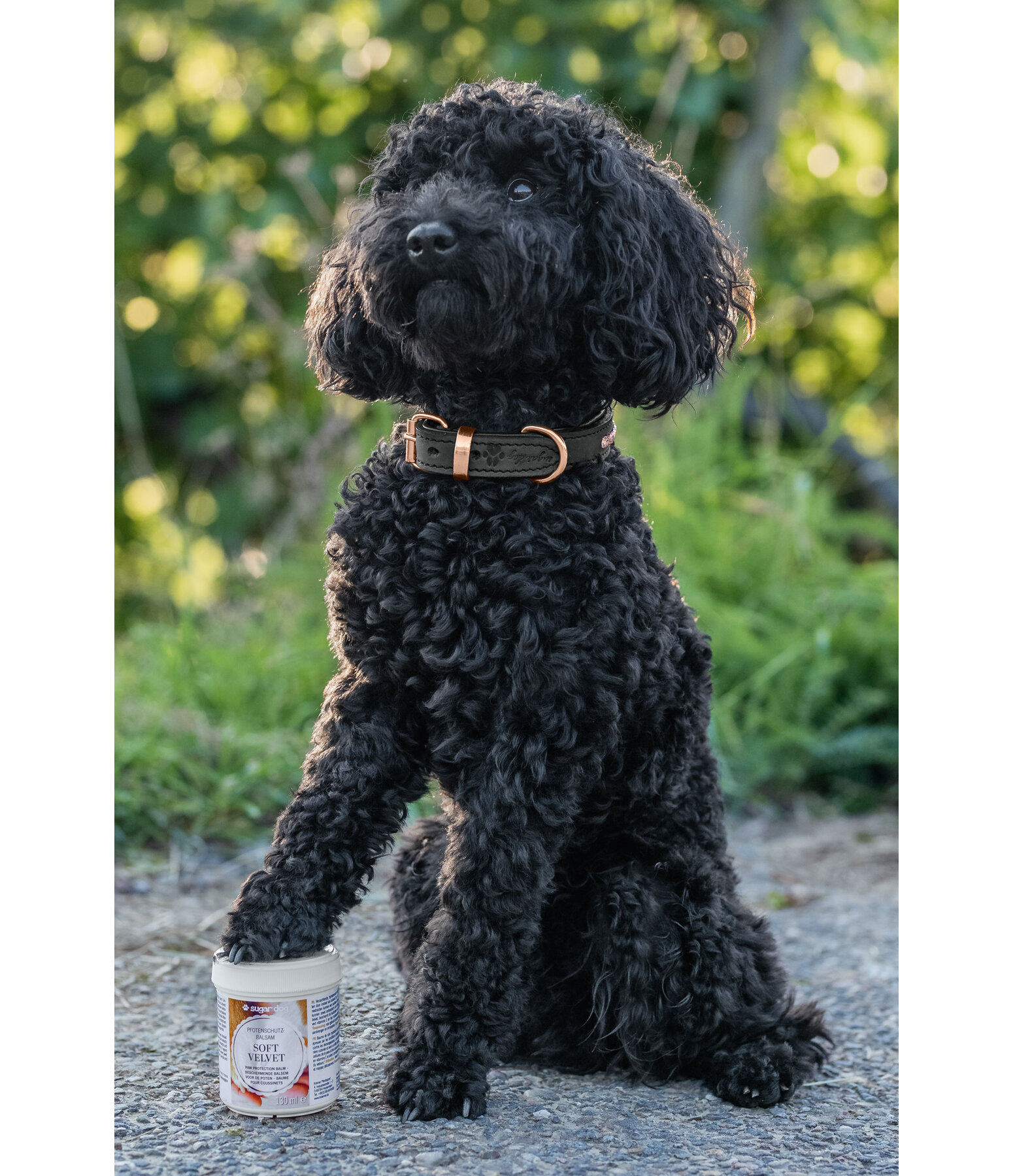 Pfotenschutz-Balsam Soft Velvet f�r Hunde