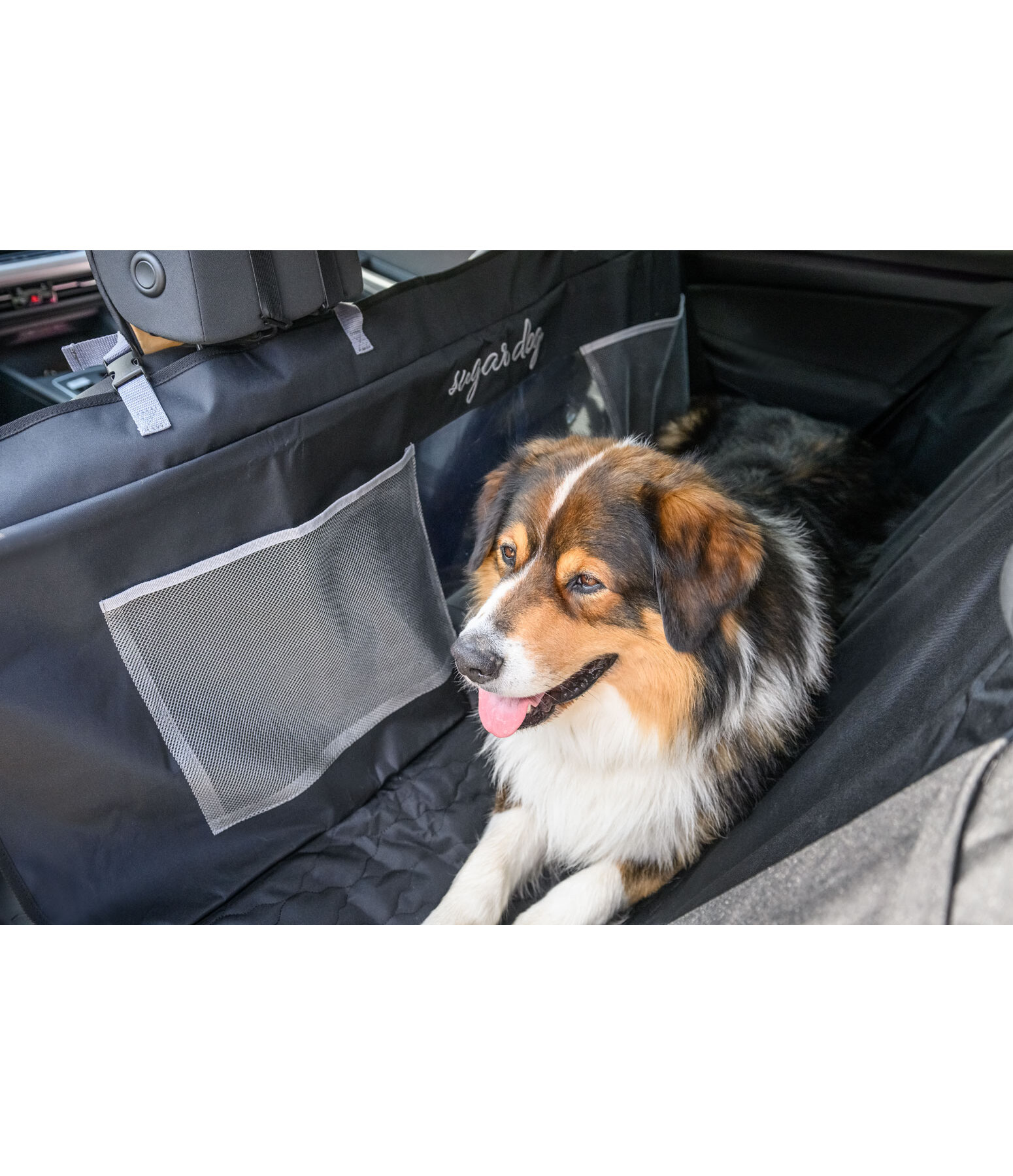 Universal-R�ckbankschoner f�r Hunde Road Trip