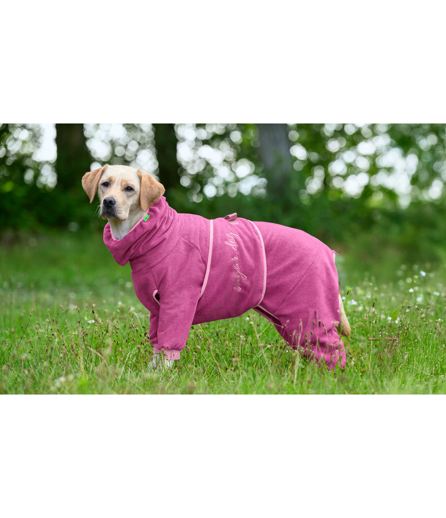 Hunde-Bademantel Allover Dry