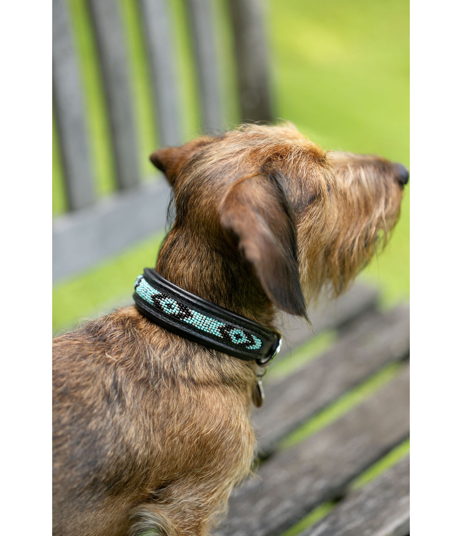 Hundehalsband in Leder-Optik Nashville