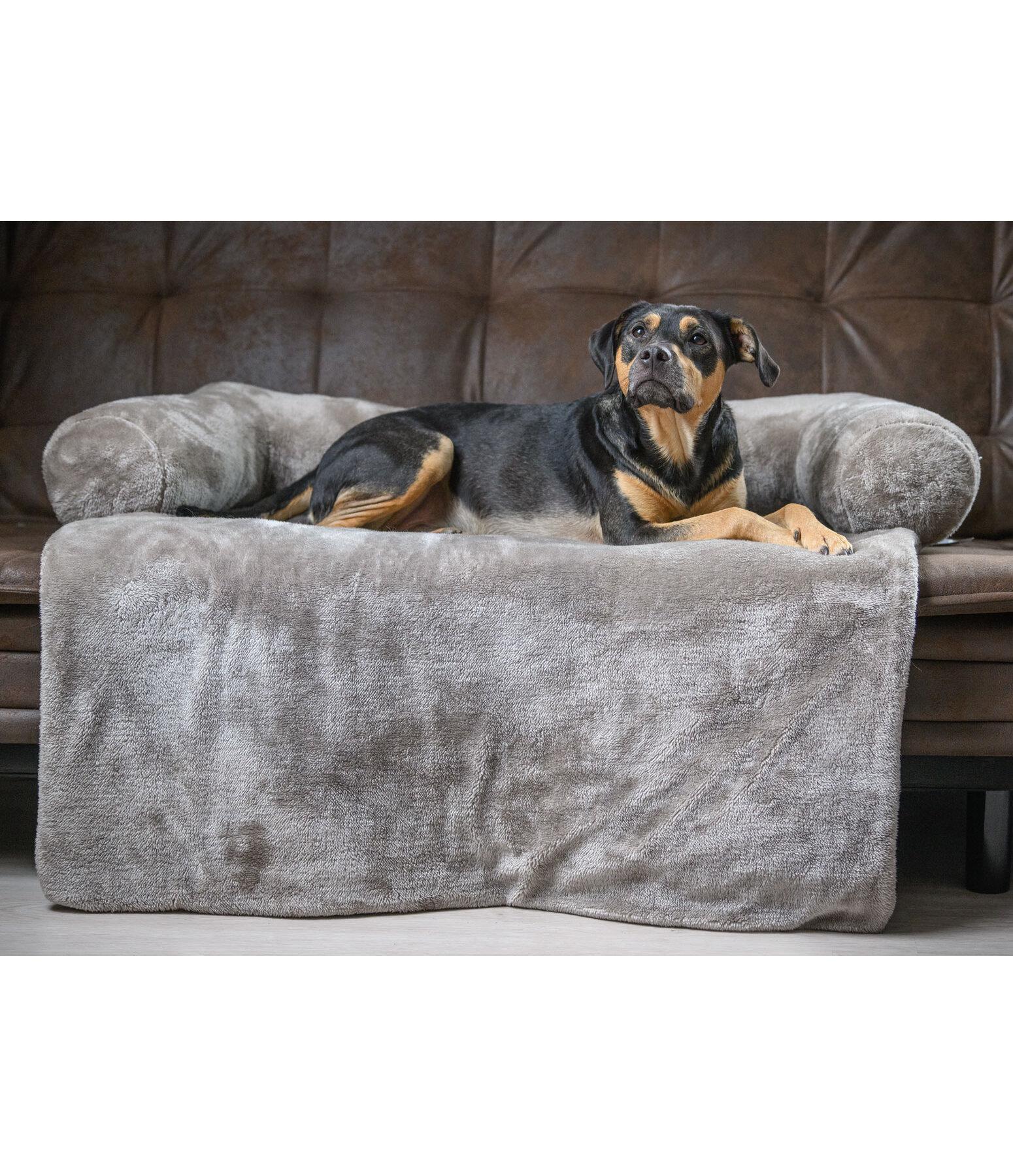 Teddyfleece-M�belschutz Guard