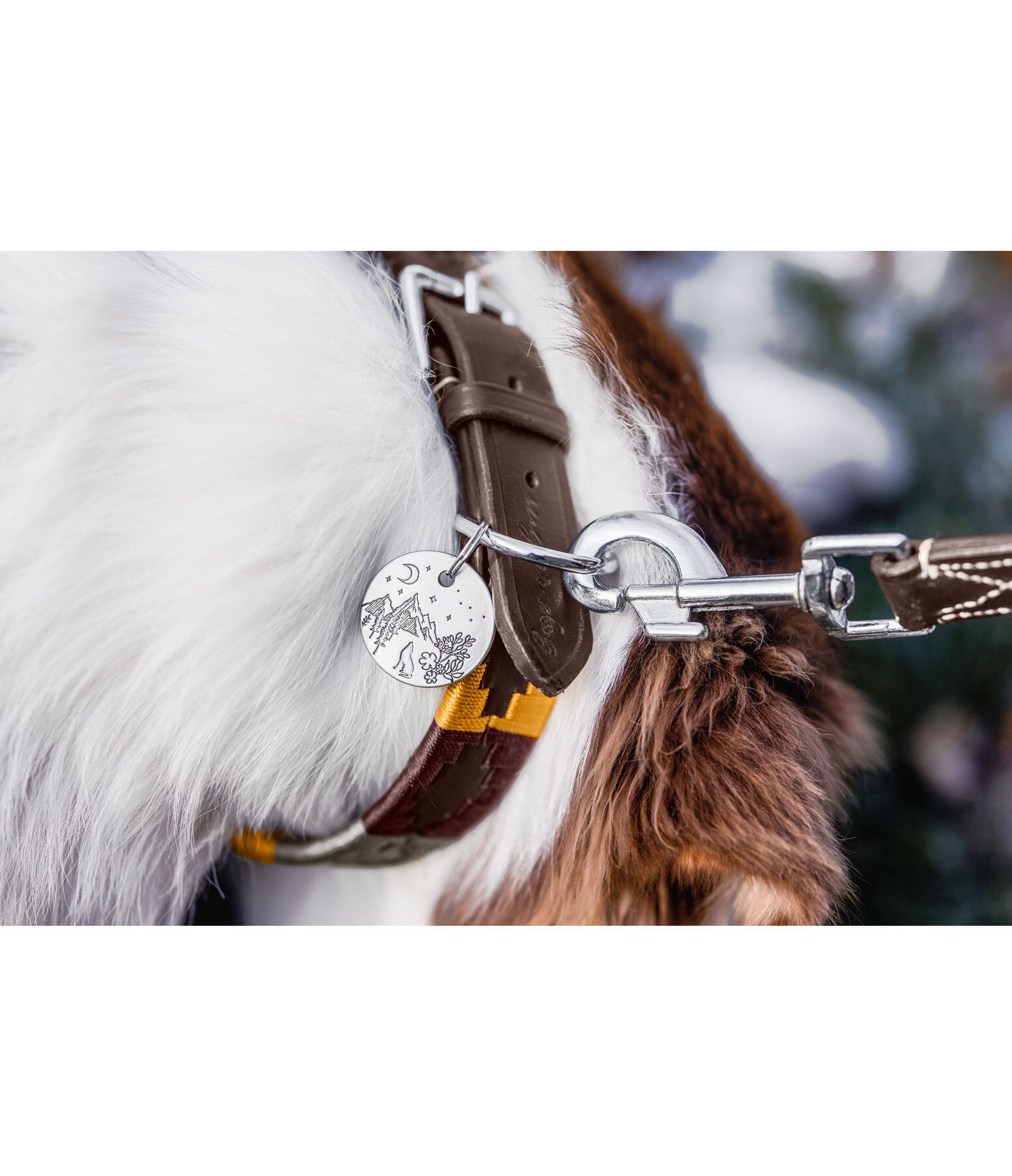 Charm f�r Hunde Travel Buddy