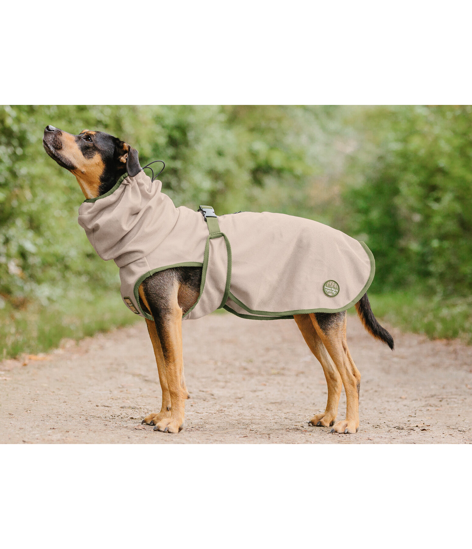 Fliegenschutzmantel Taiga f�r Hunde