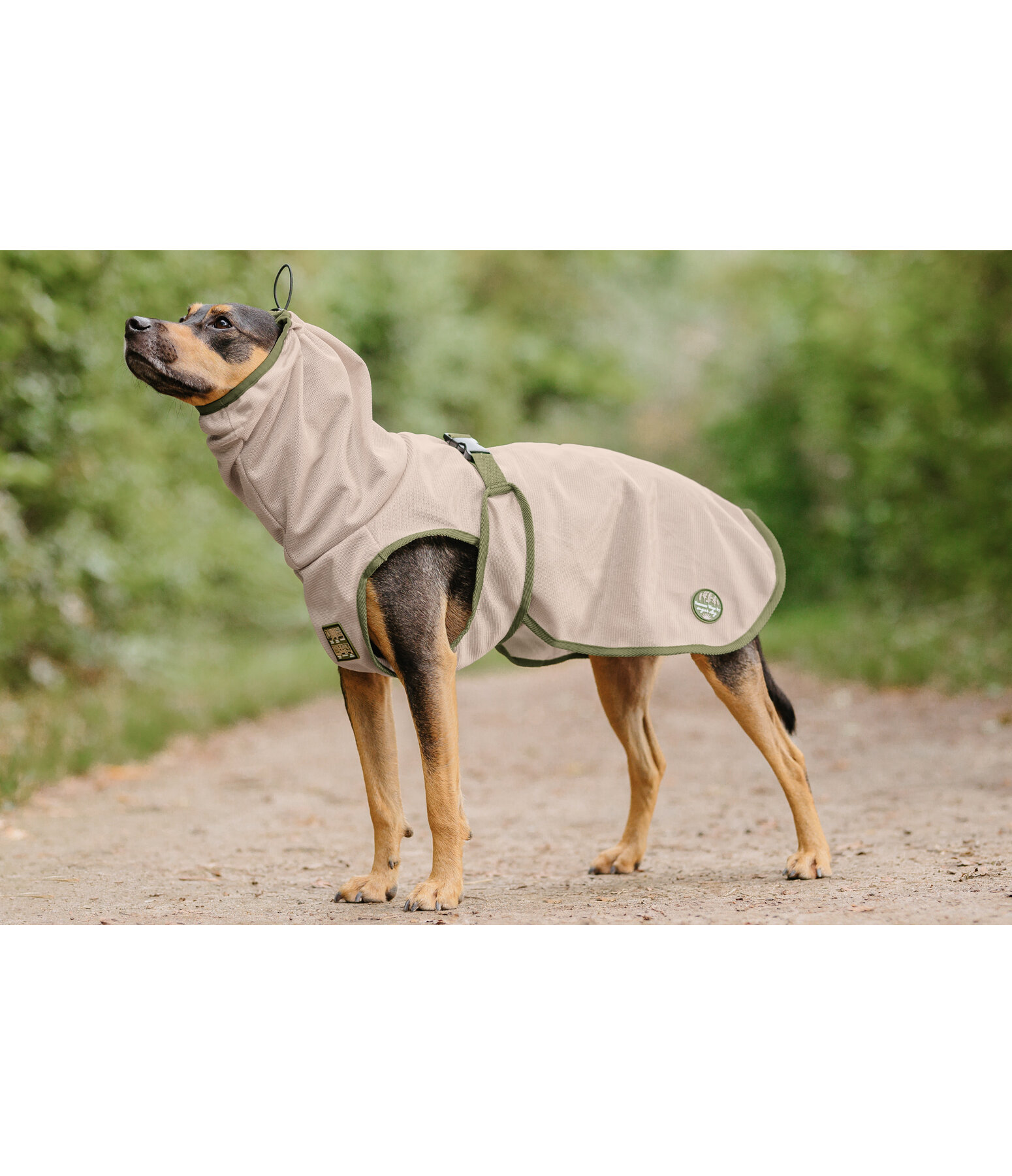 Fliegenschutzmantel Taiga f�r Hunde