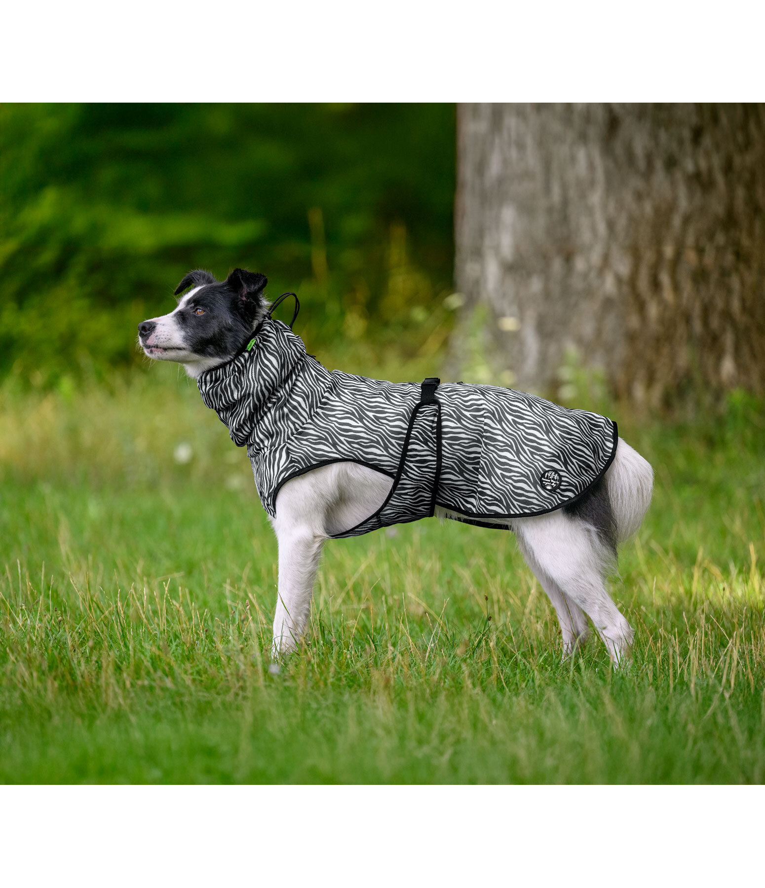Fliegenschutzmantel Taiga f�r Hunde