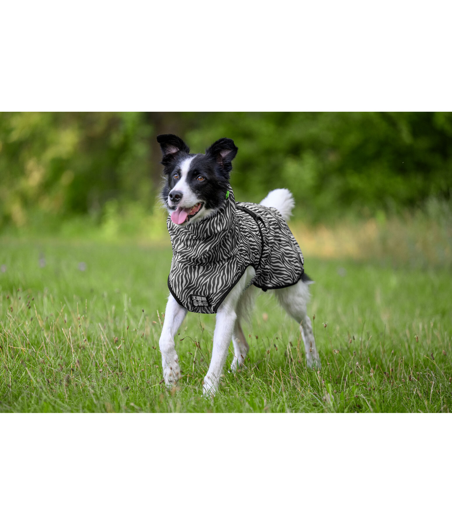 Fliegenschutzmantel Taiga f�r Hunde