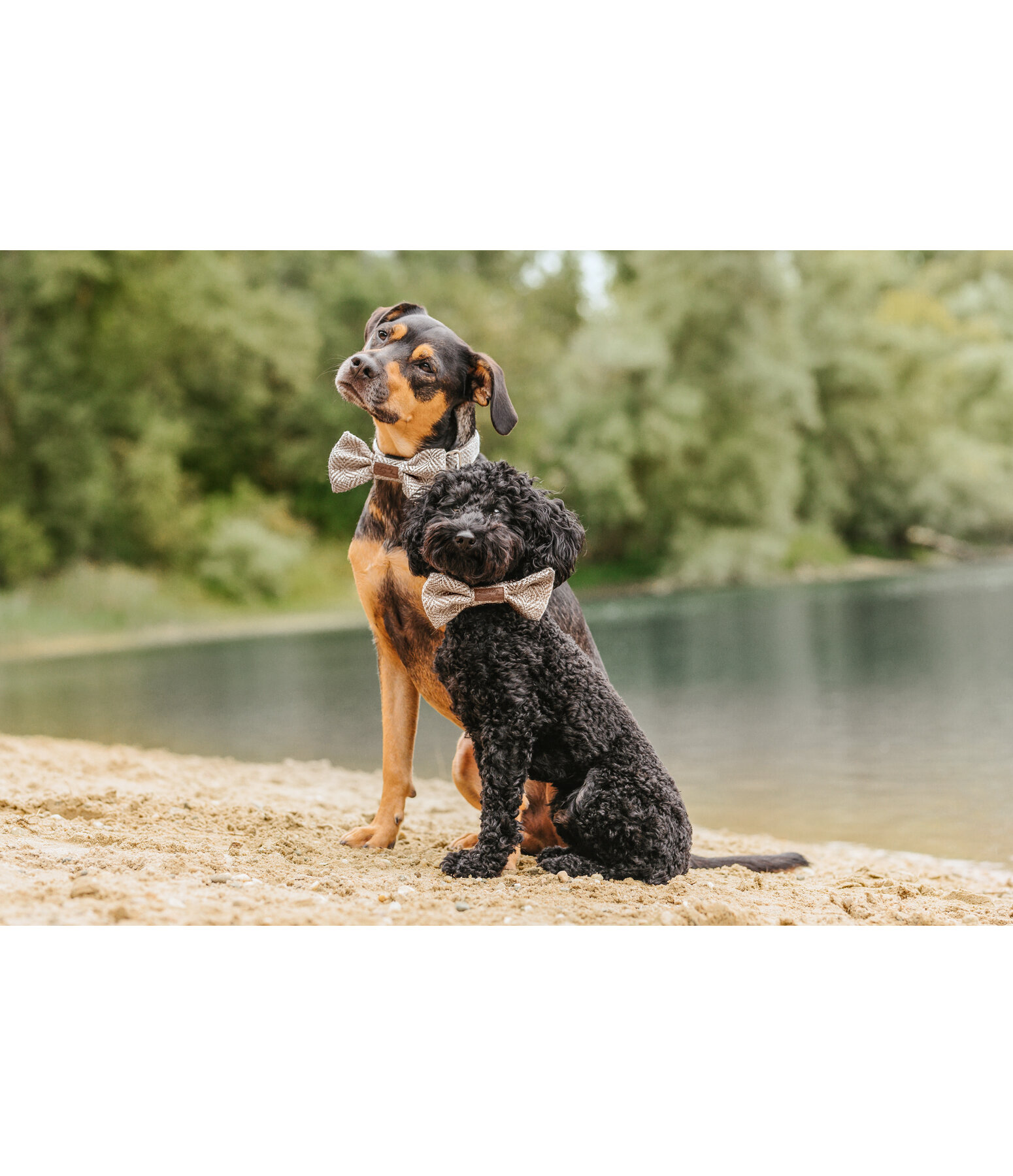 Fliege Tribal Love f�r Hunde