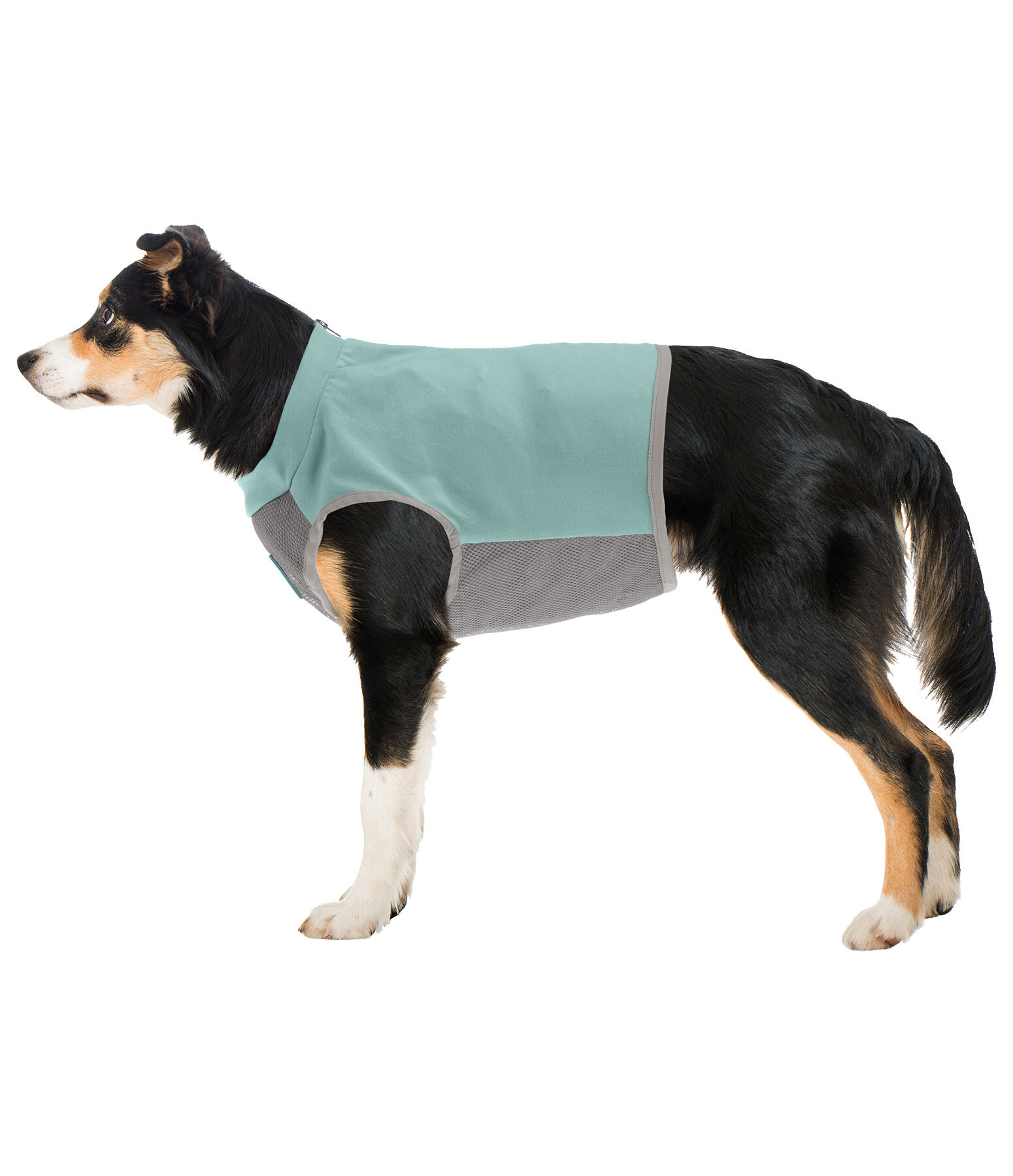 K�hl-Weste Refresh f�r Hunde