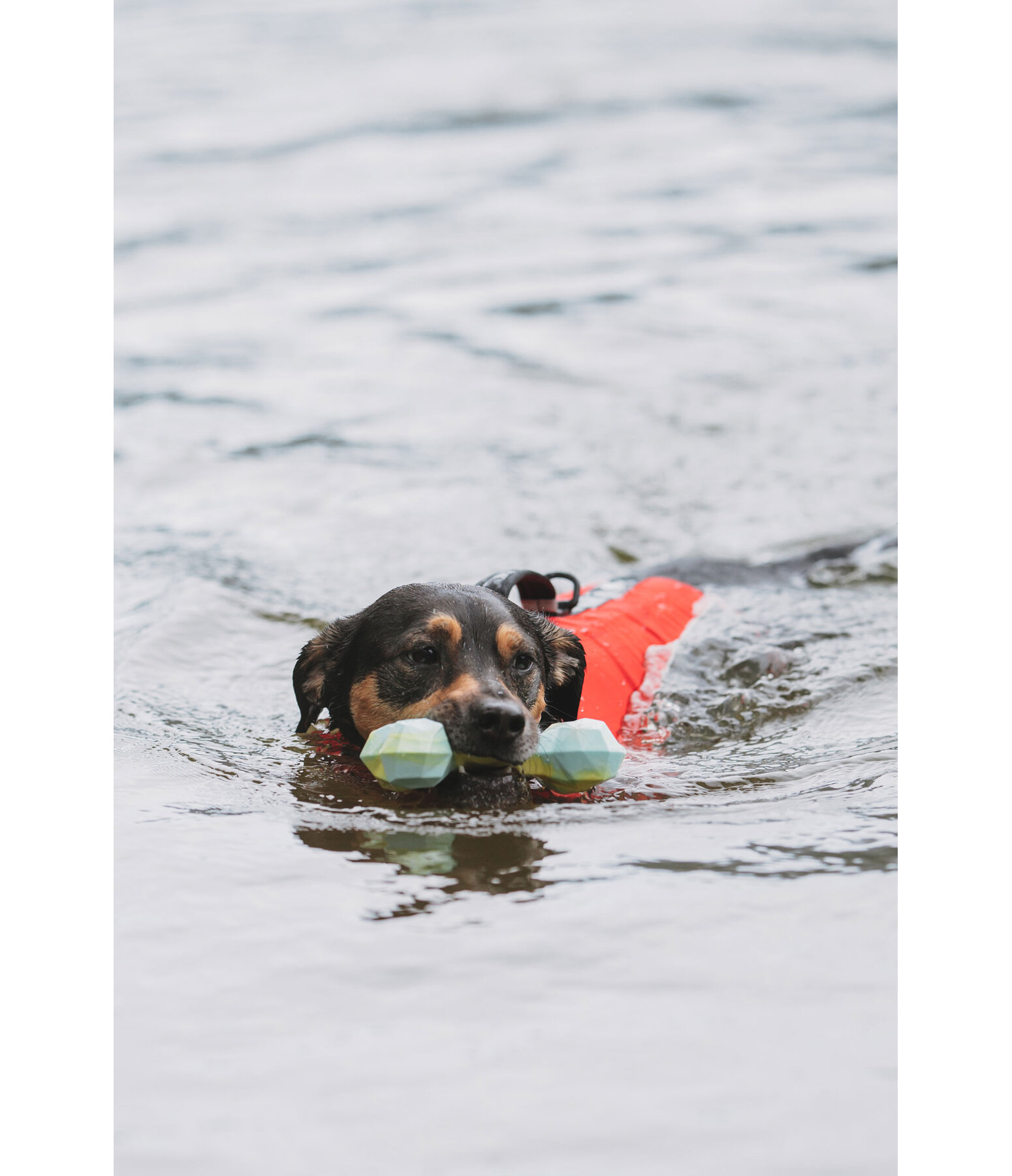 Wasser-Hundespielzeug Marble Bone