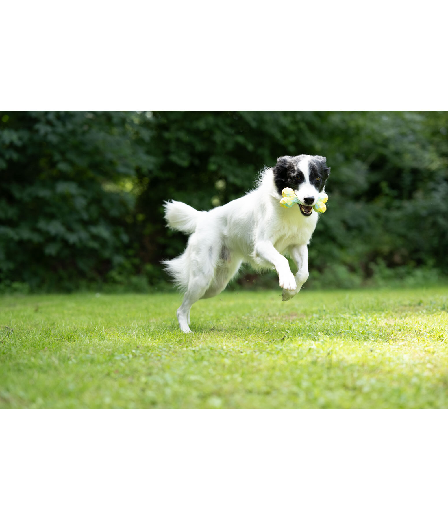 Wasser-Hundespielzeug Marble Bone