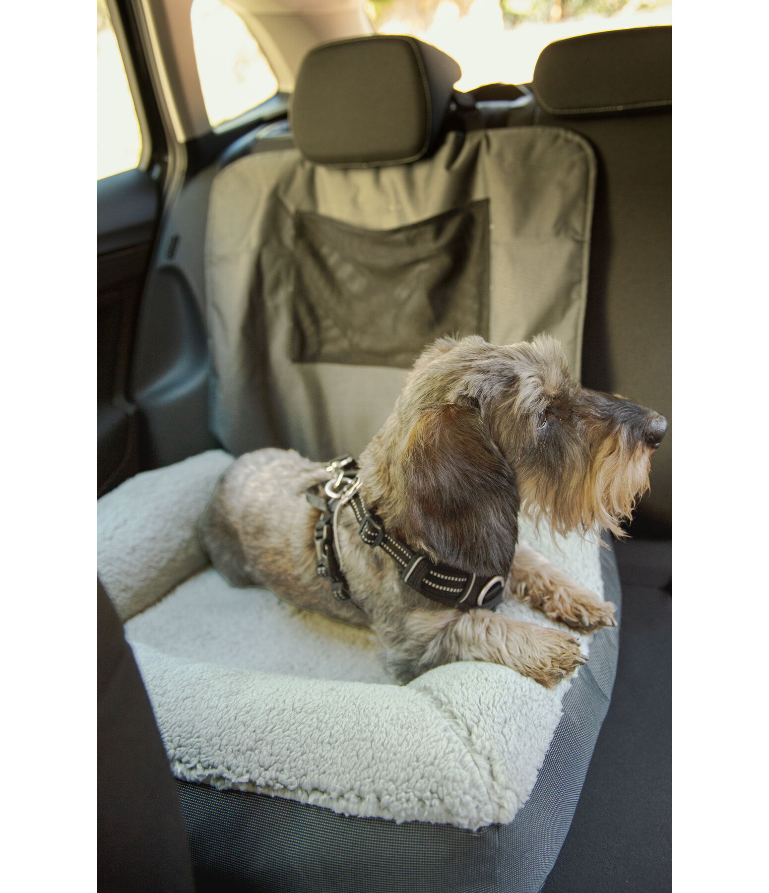 Autositz-Hundebett Maine