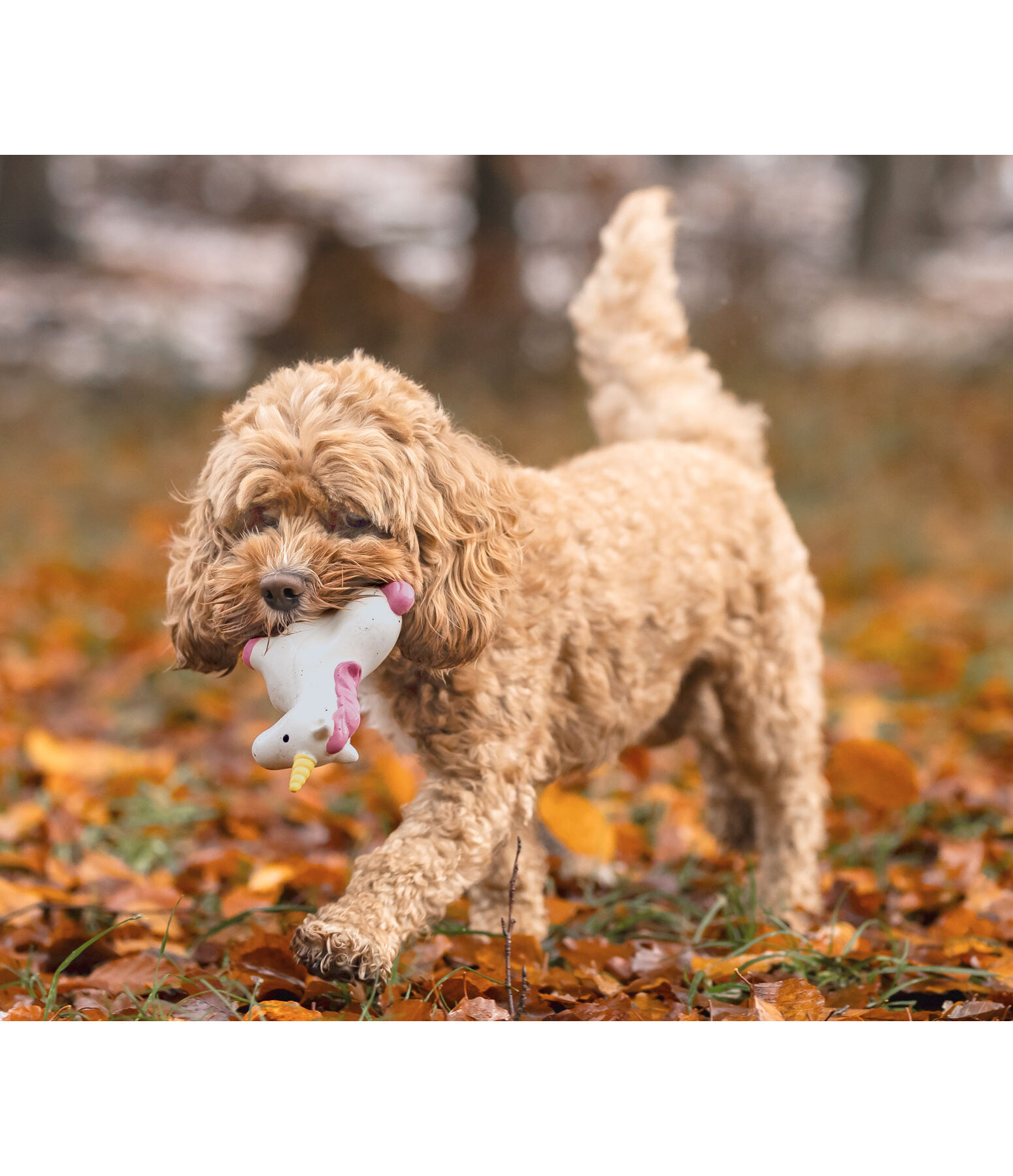 Hundespielzeug Unicorn mit Quietsche