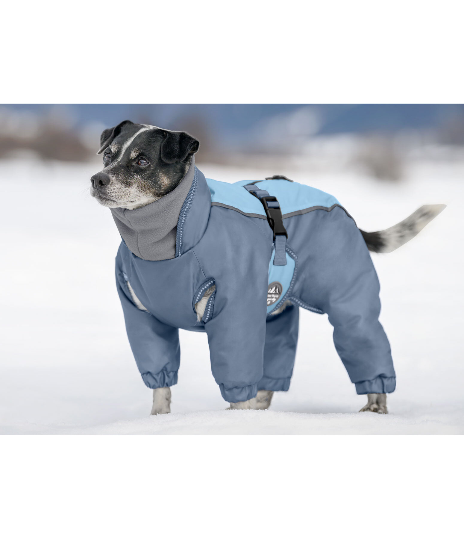 Schnee-Overall Mount Whistler f�r Hunde, 120 g