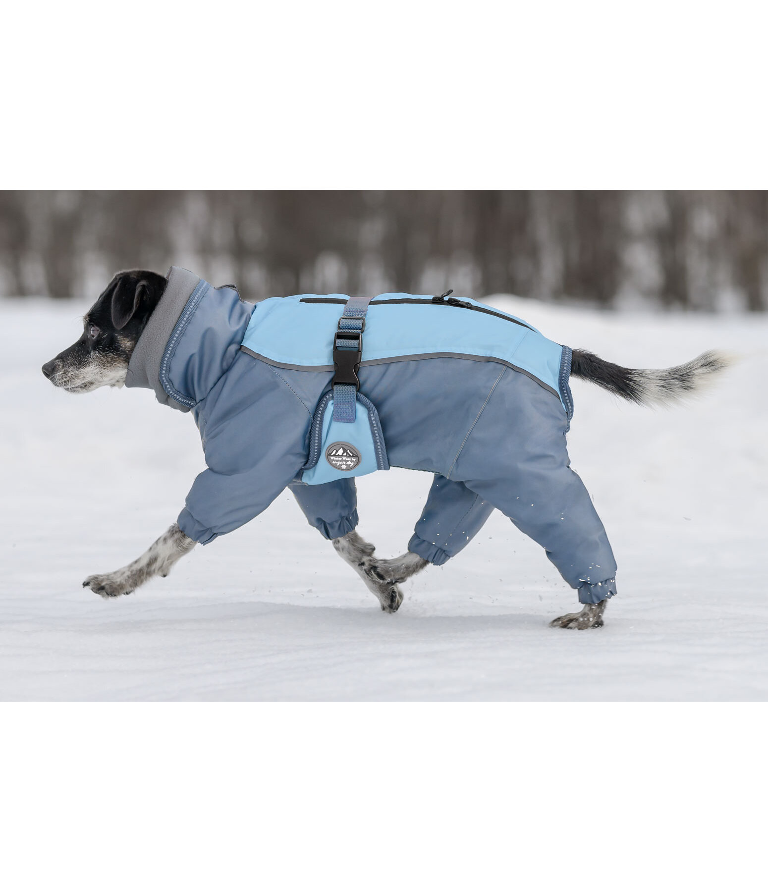 Schnee-Overall Mount Whistler f�r Hunde, 120 g