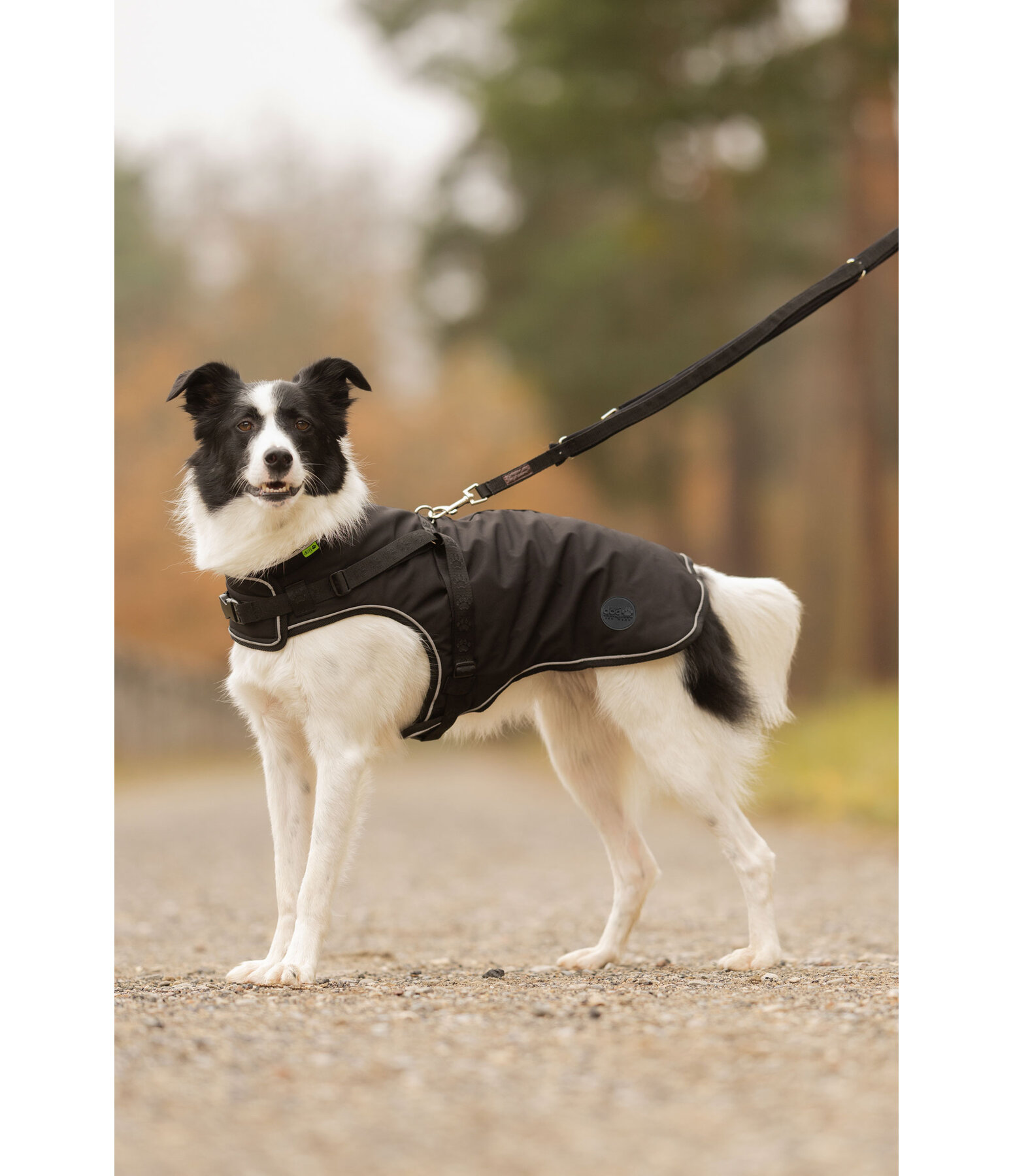 Softshell-Hundemantel Cruz mit integriertem Geschirr, 160 g