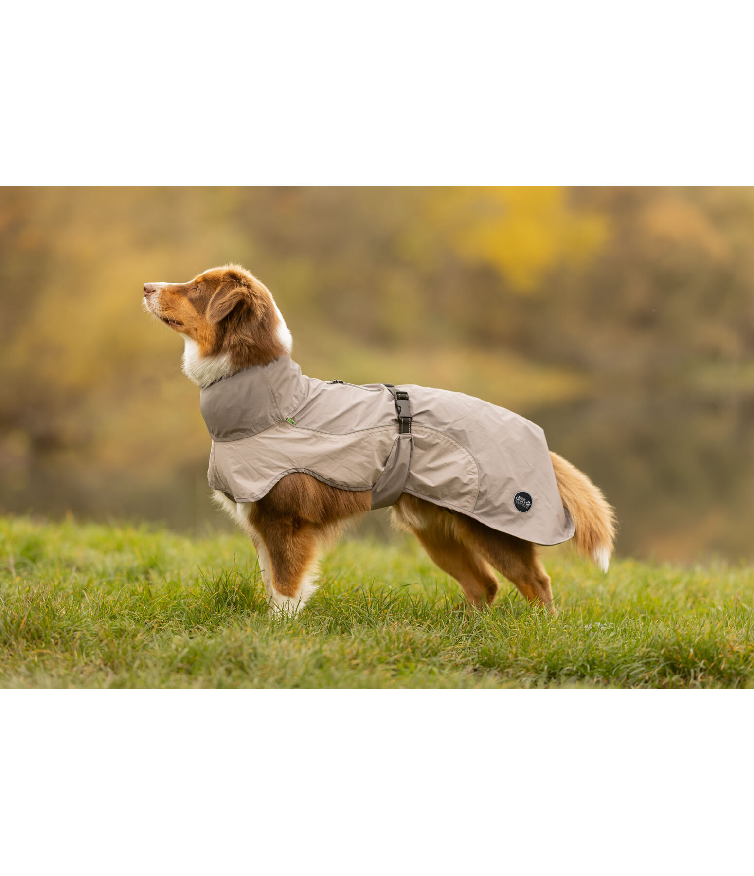 Lightweight Hunde-Regenmantel  Alma, 0 g