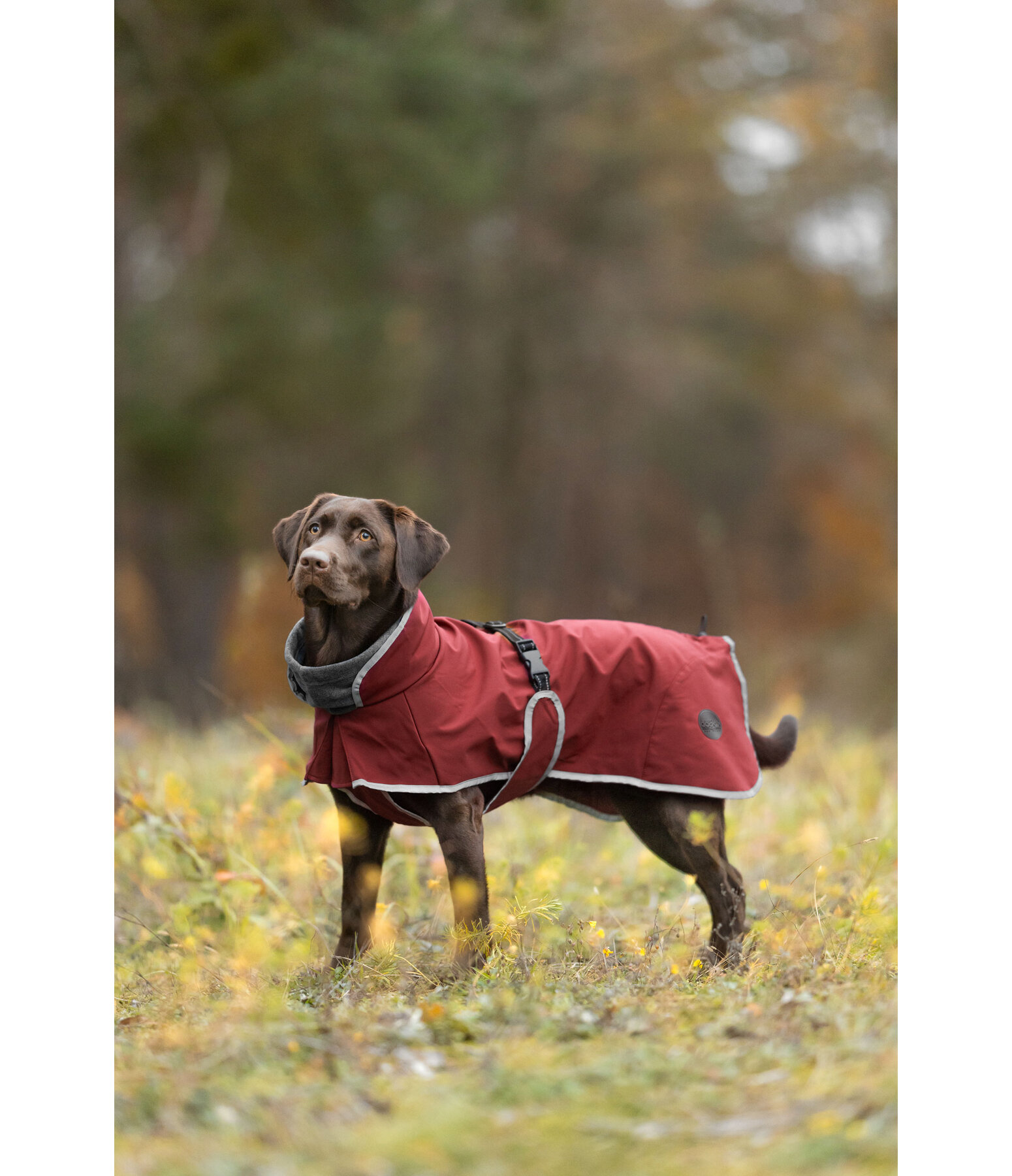 Softshell-Hundemantel mit Fleecekragen Frida