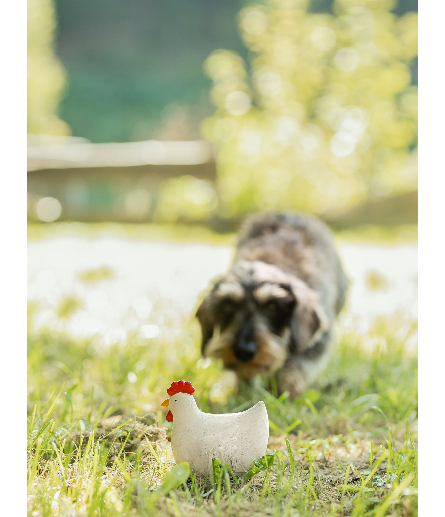 Hundespielzeug Chicken mit Quietsche