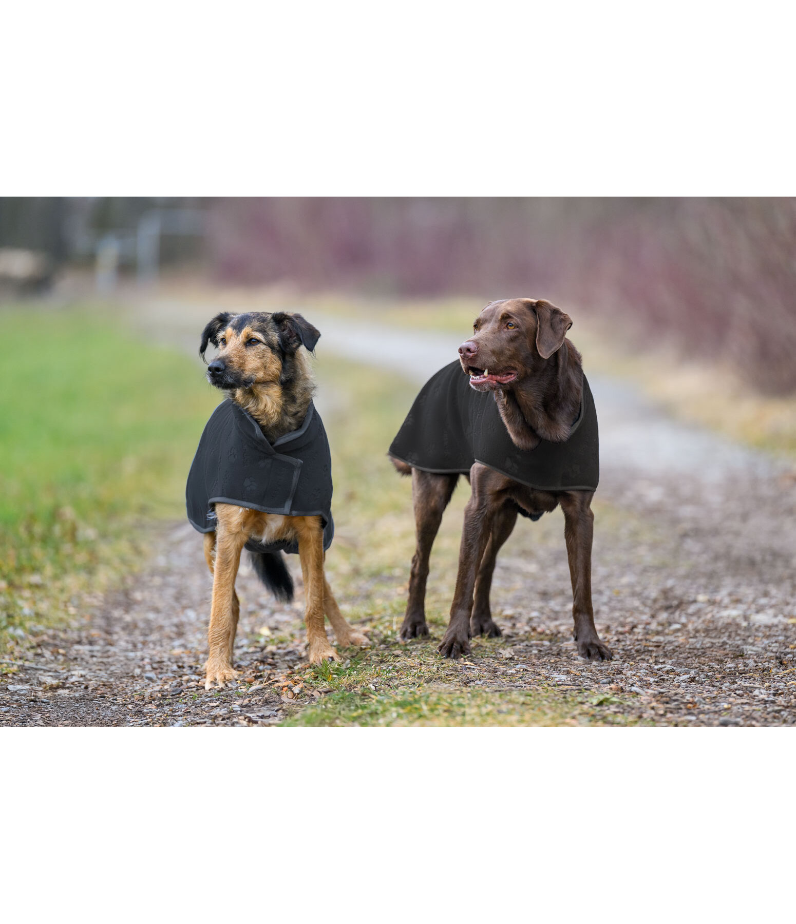Hunde-Unterzieh- und Fleecemantel Lino