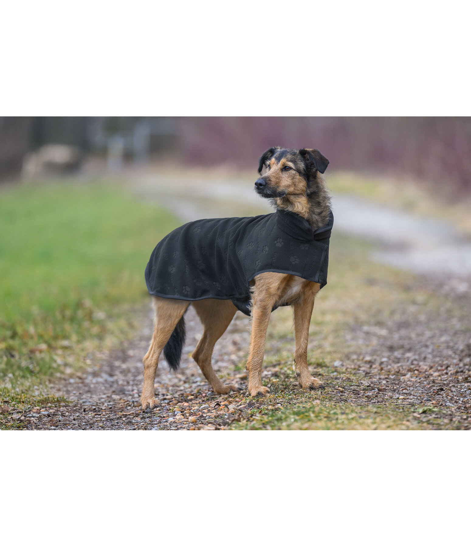 Hunde-Unterzieh- und Fleecemantel Lino
