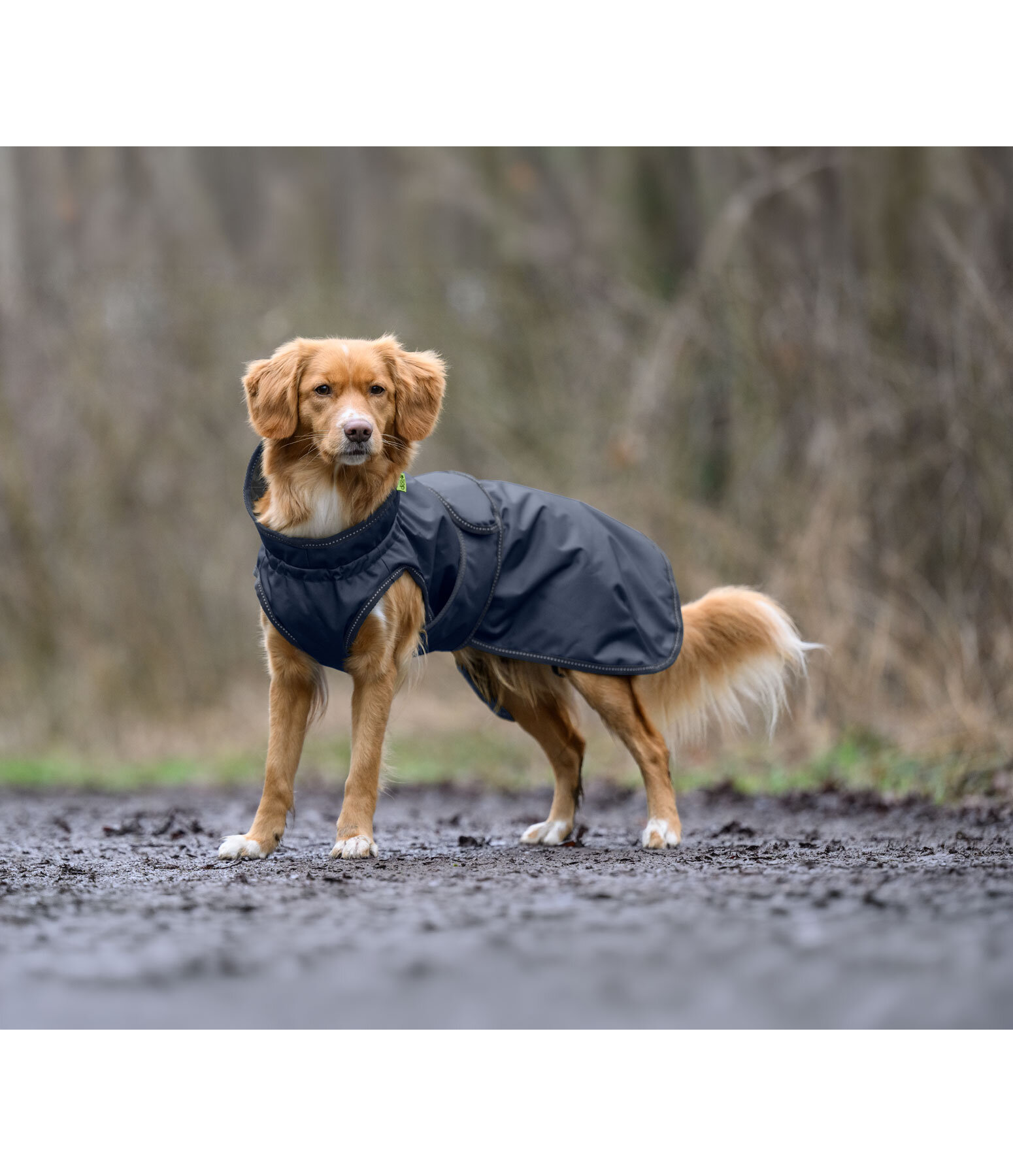 Hunde-Regenmantel Forest Drizzle, 50 g