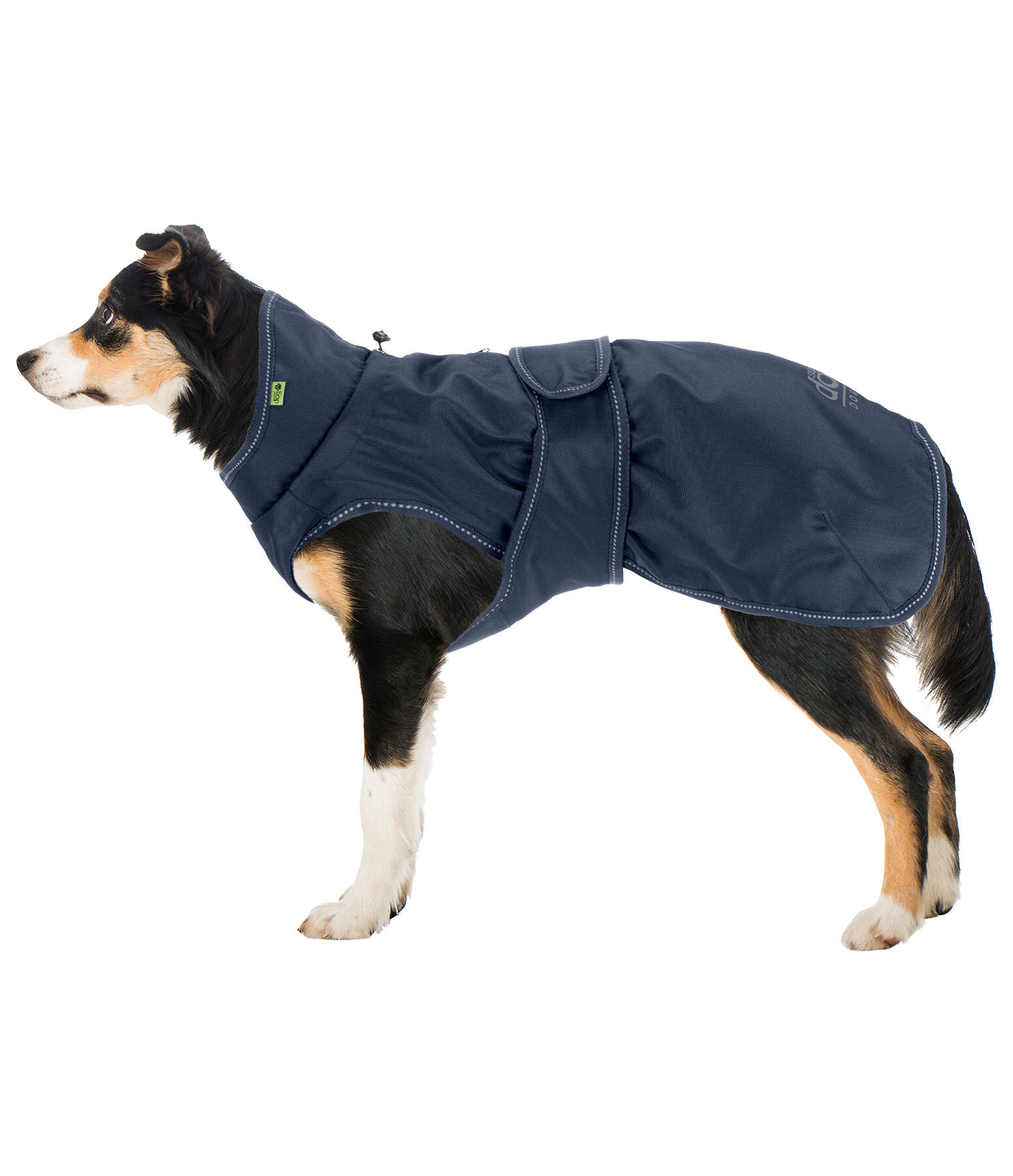 Hunde-Regenmantel Forest Drizzle, 50 g