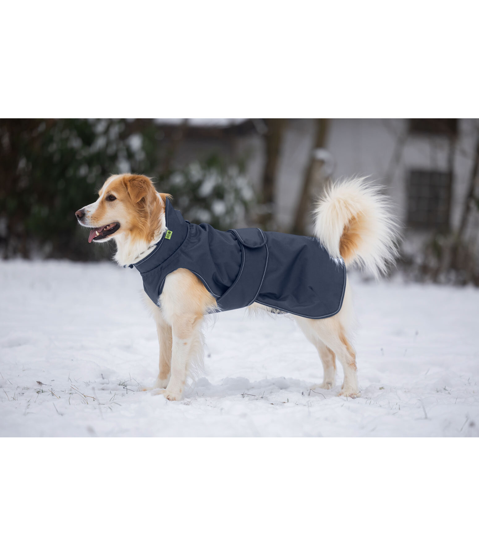 Hunde-Regenmantel Forest Drizzle, 50 g