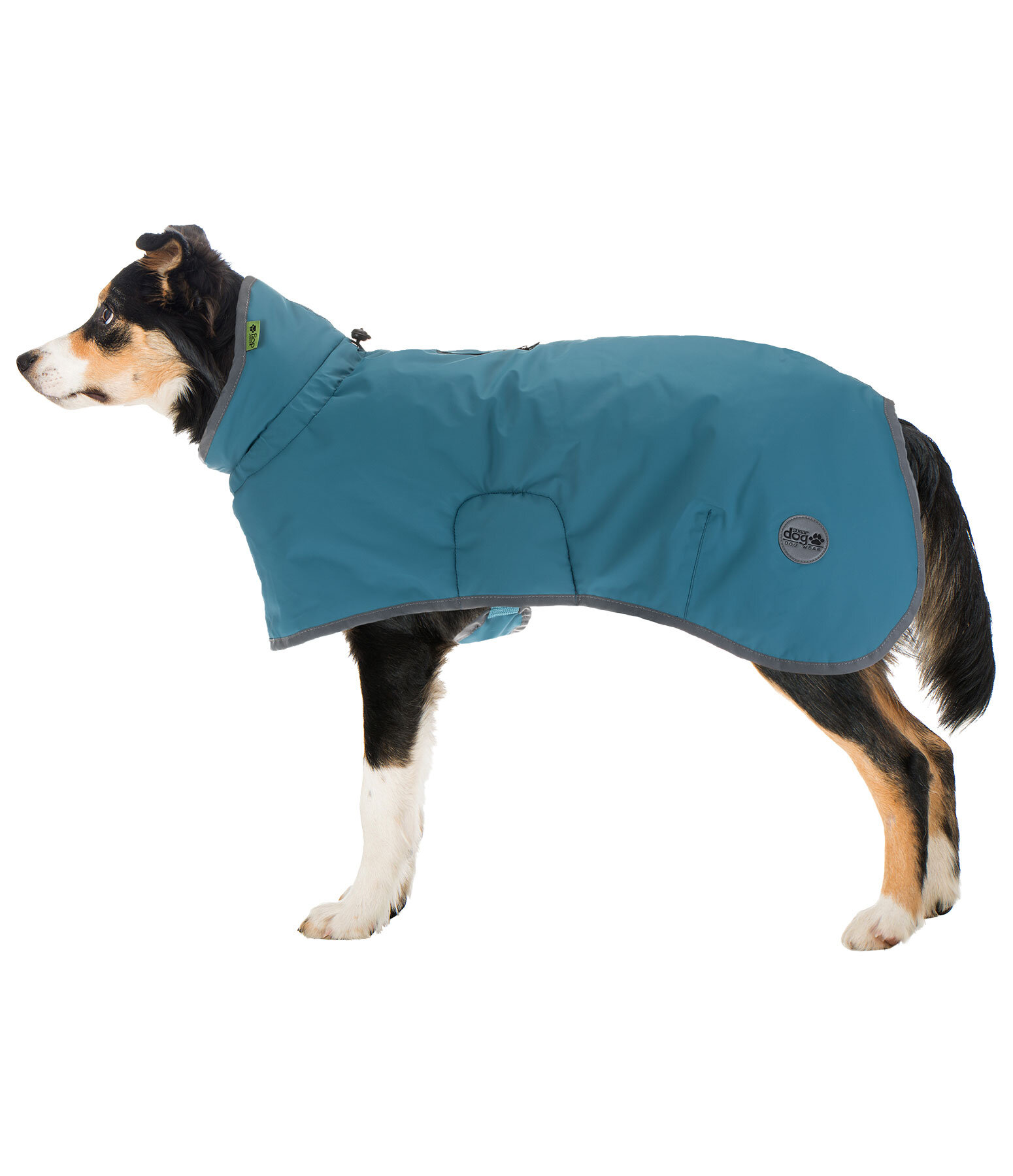 Hunde-Regenmantel Winter Islands, 150 g